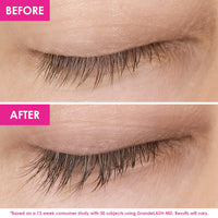 Mini Magic Lash and Brow Set